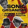 Jazzmin 2026/27: “Sonic Organism” con Greg Osby e Florian Arbenz a La Sosta